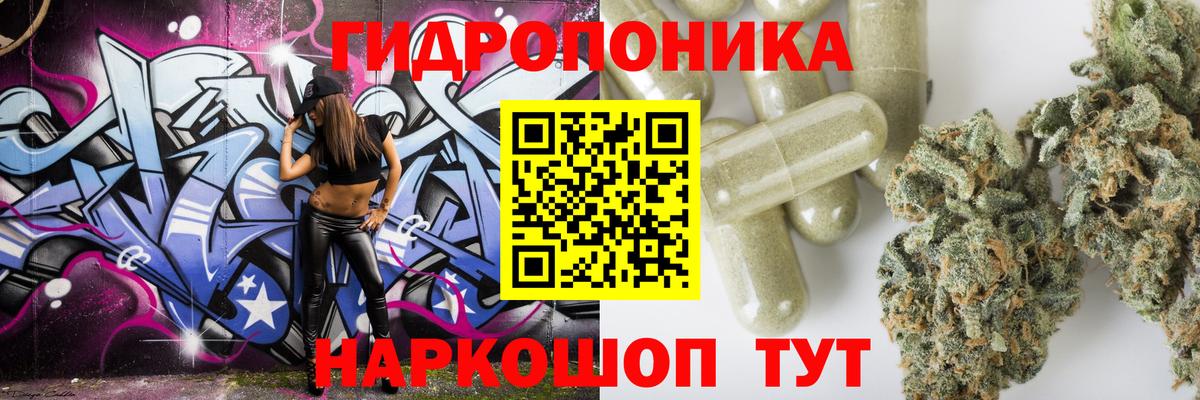 Бошки Шишки марихуана Соликамск